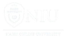 Nairi International University